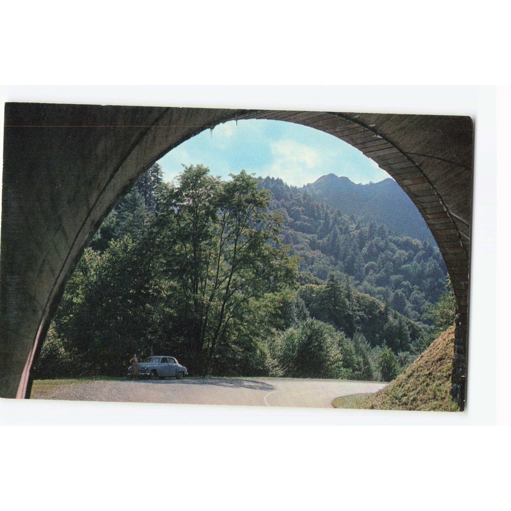 Vintage Postcard Chimney Tops Great Smoky Mountains National Park Tunnel View